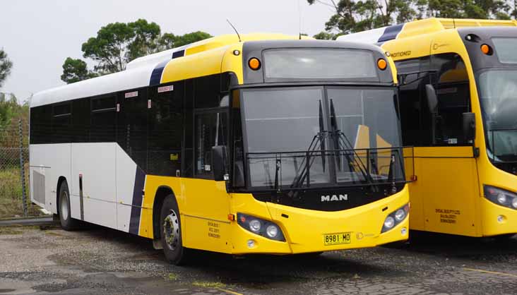 Shoal Bus MAN 19.320 Custom SB80 8981MO